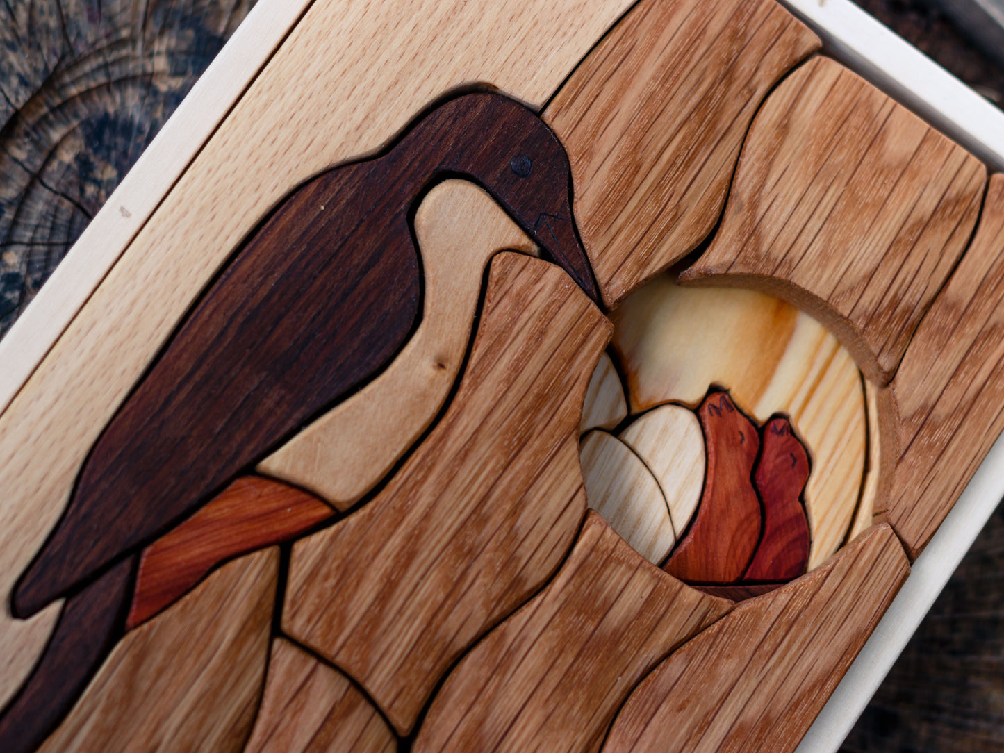 Alternate view and close up of woodpecker toy puzzle
