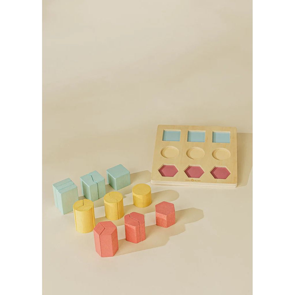 Components of 3D wooden shape puzzle