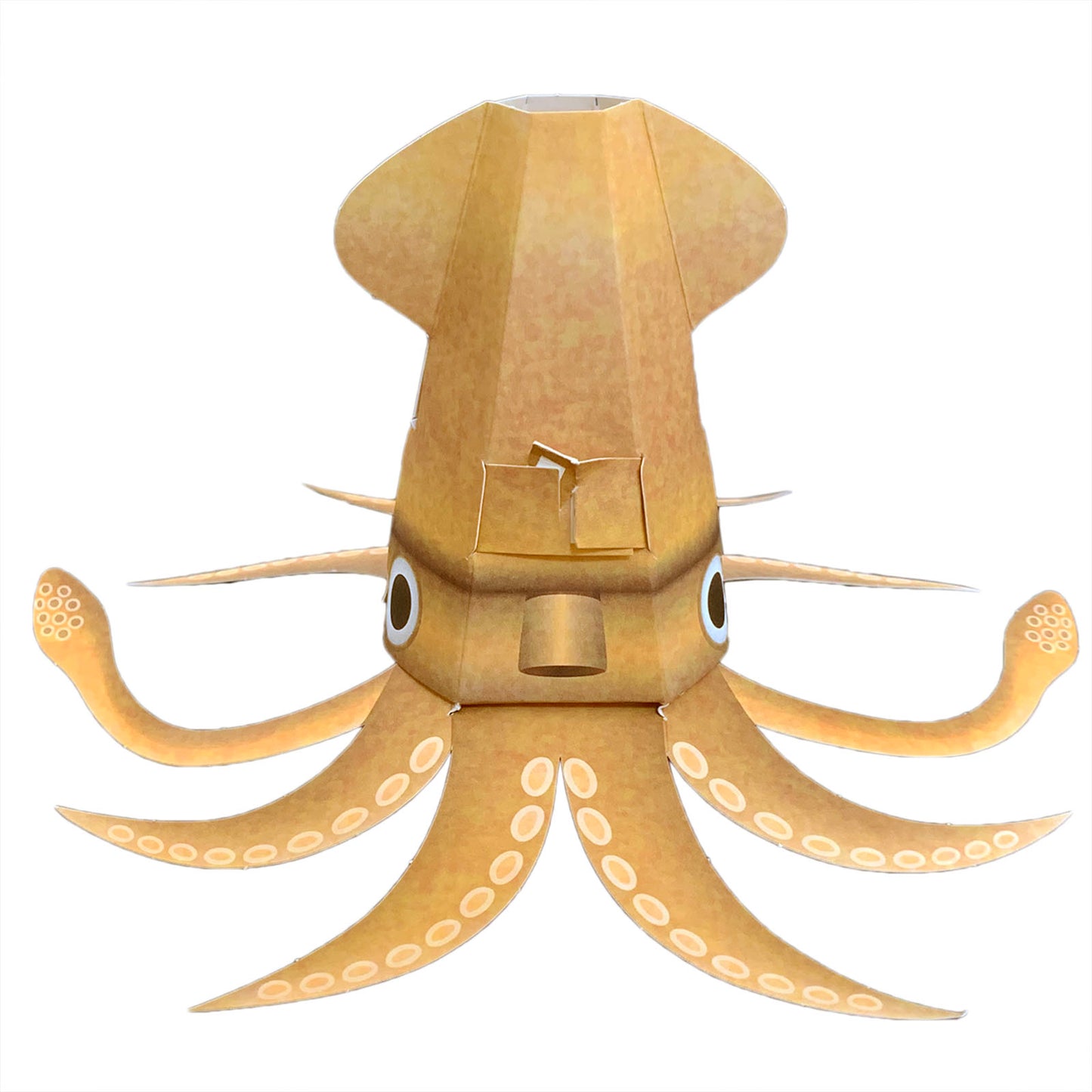 Finished product of Kamikara flippin squid