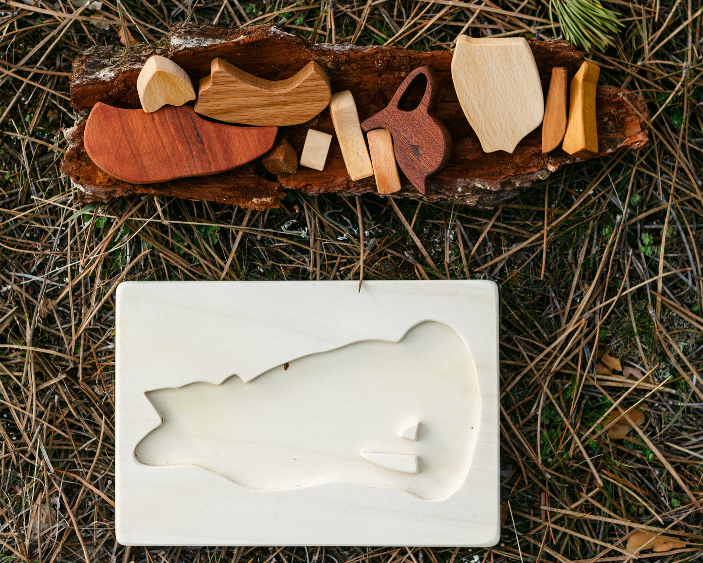 Wooden board for fox puzzle, with 11 pieces nesting in a carved out log
