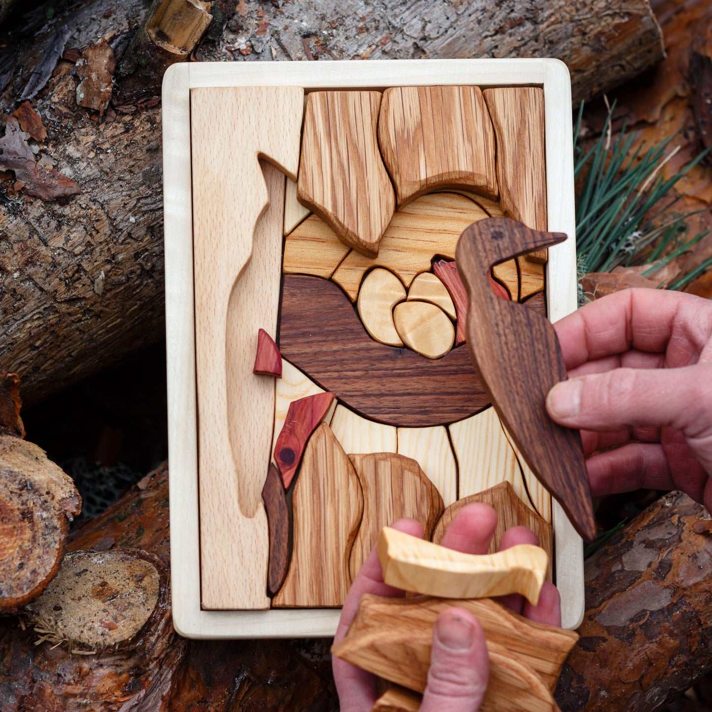 Woodpecker puzzle- child holding one of the pieces