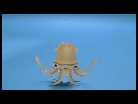 Video showing Kamikara flippin squid doing a flip when poked, can be reset again
