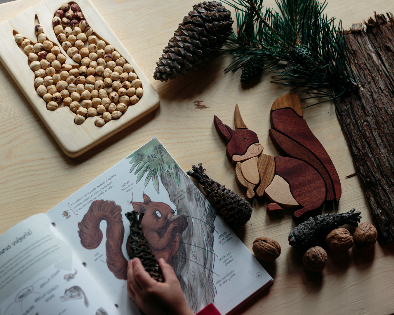 Wooden squirrel puzzle amist a dash of pinecones and a book on squirrels!