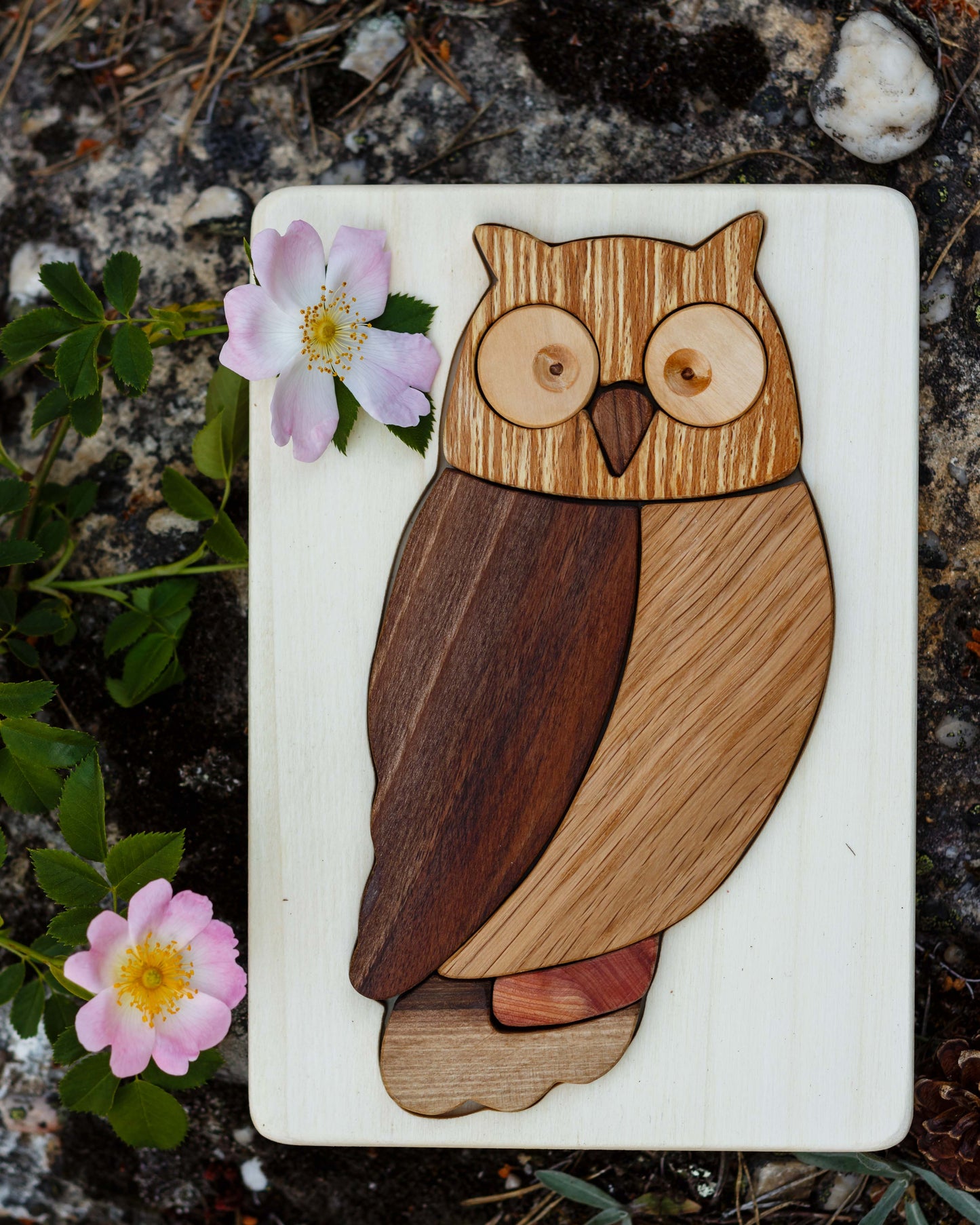 Gorgeous owl wooden toy puzzle from Cocoletes