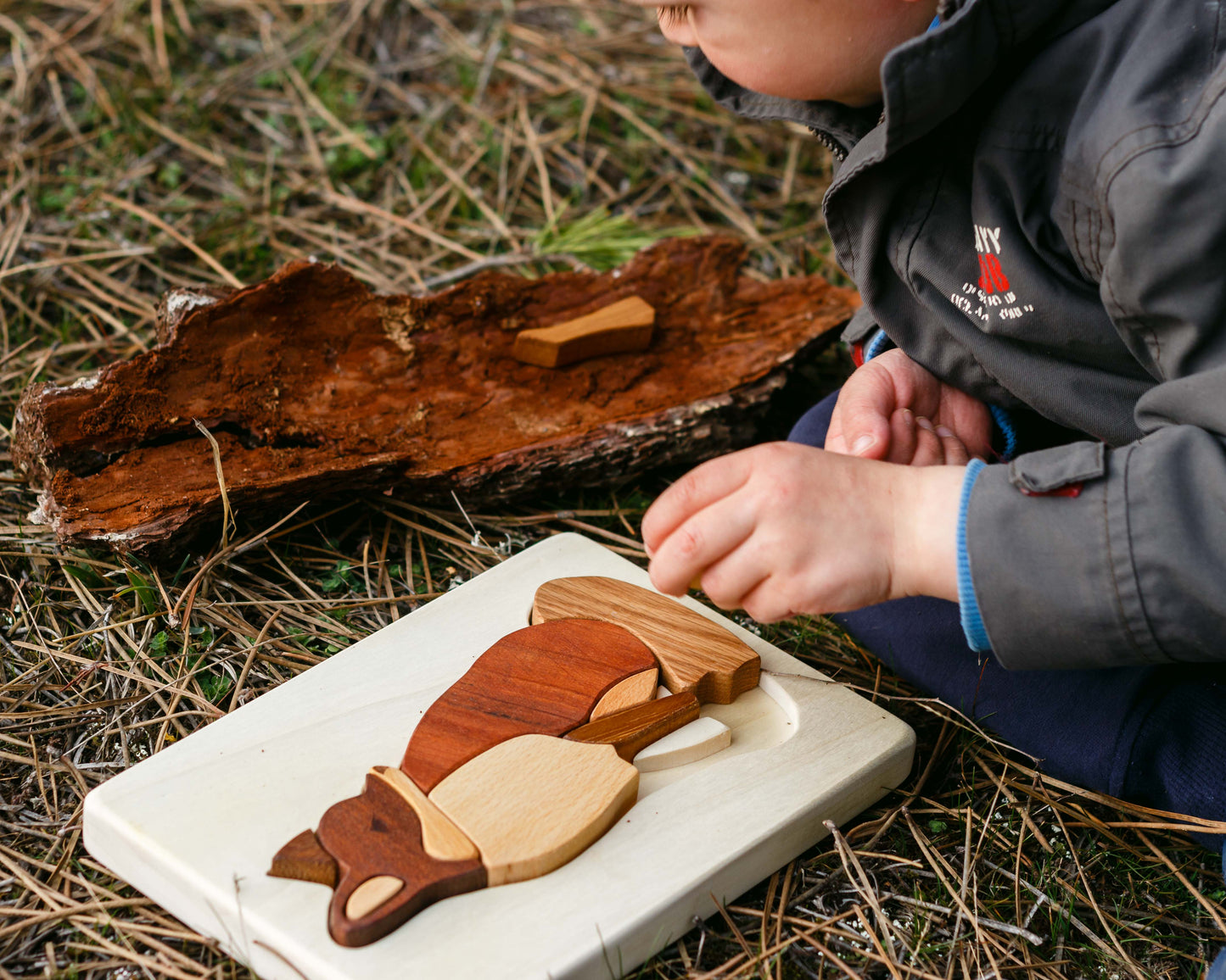 Boy assembling a wooden fox puzzle on the grass